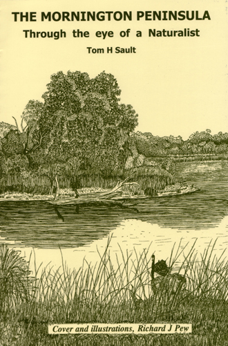 the morn pen through the eye of