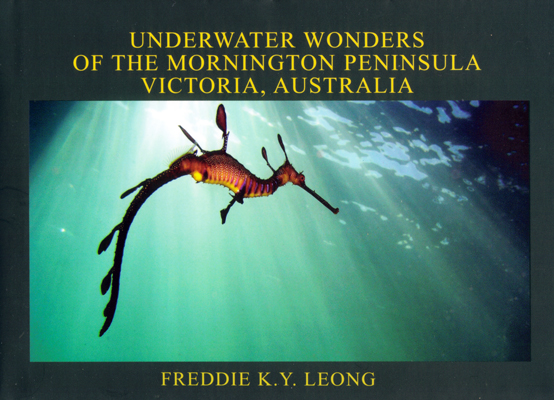 underwater wonders