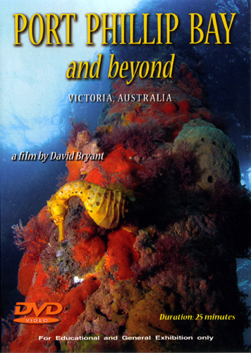 port phillip bay and beyond