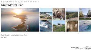 PNNP Draft MP Report 2010