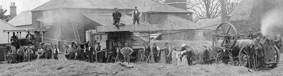 Farming in Lincolnshire c1905