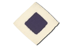 patch-of-2nd-pioneers